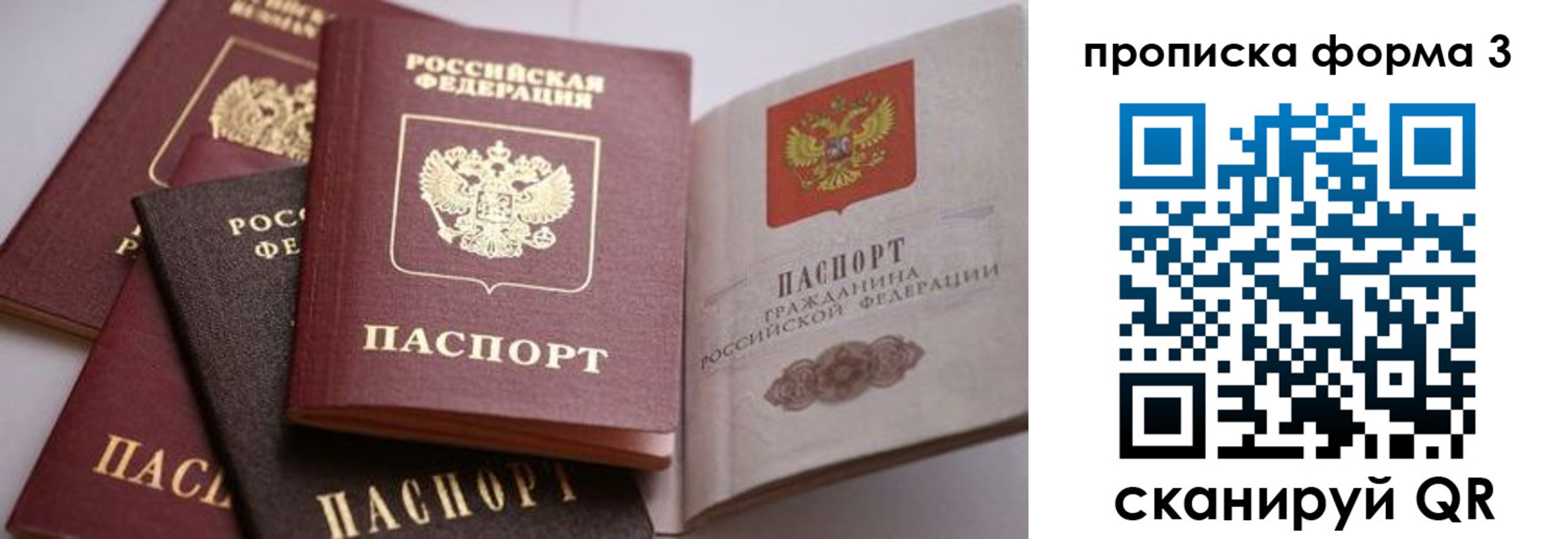прописка для школы в Владимире